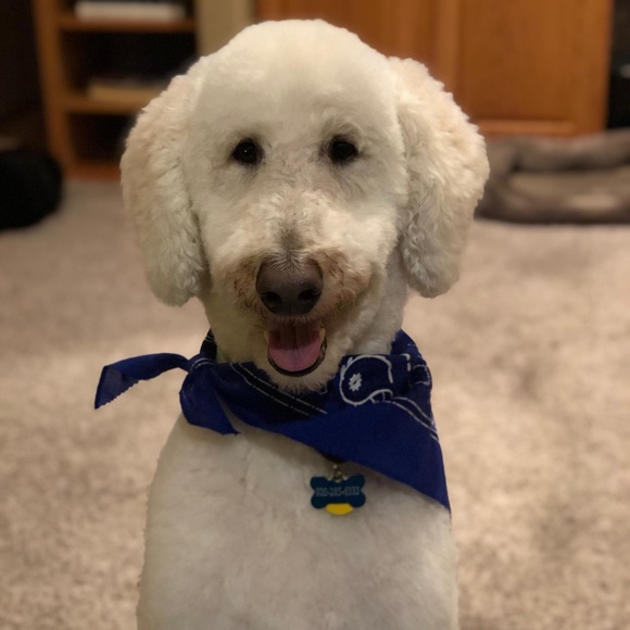 Meet your Posher, Katie - Picture 1 of 1